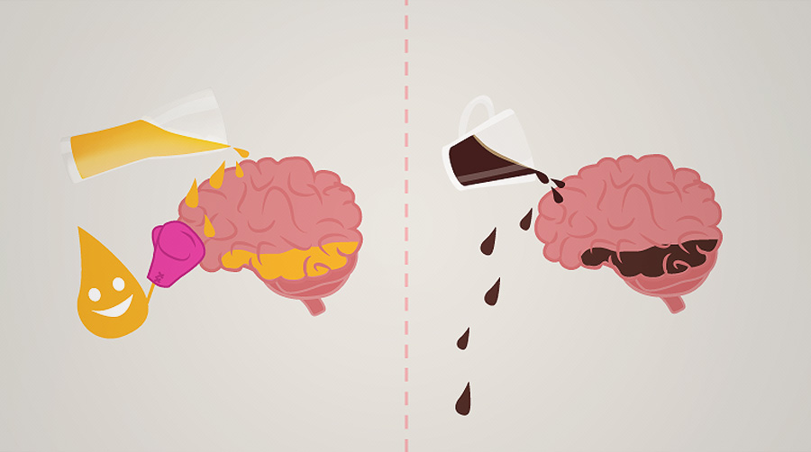 Cerveja ou café: infográfico mostra como seu cérebro funciona